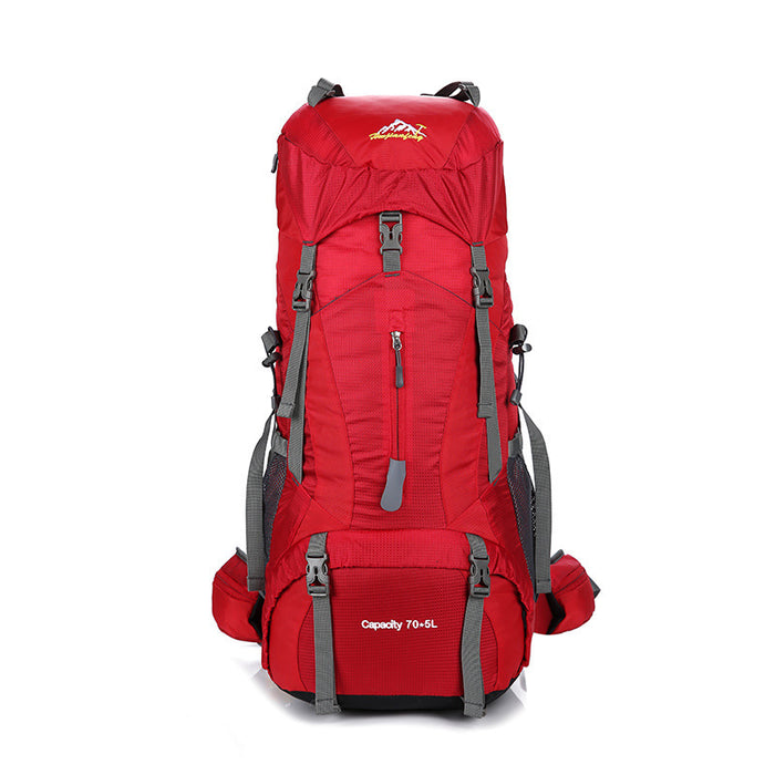 Professional Mountaineering Travel Backpack