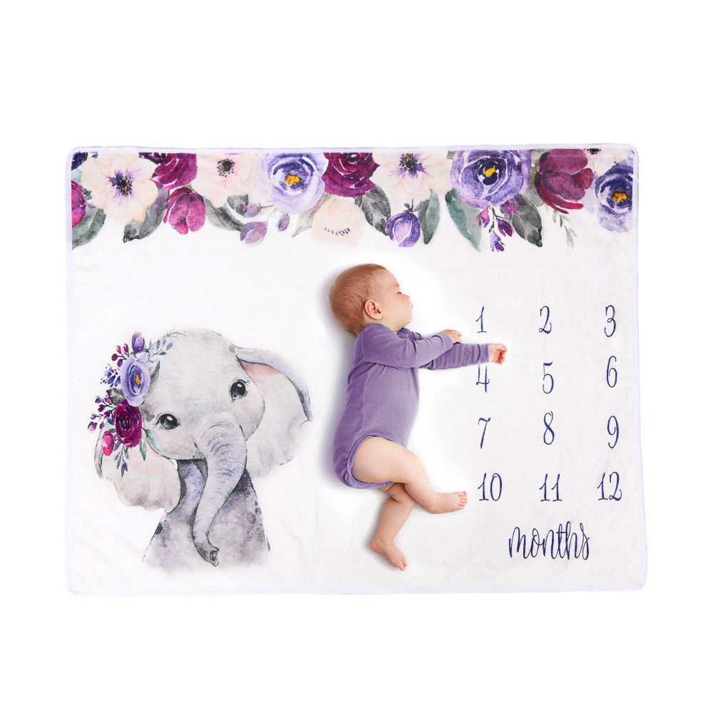 Baby Milestone Blanket