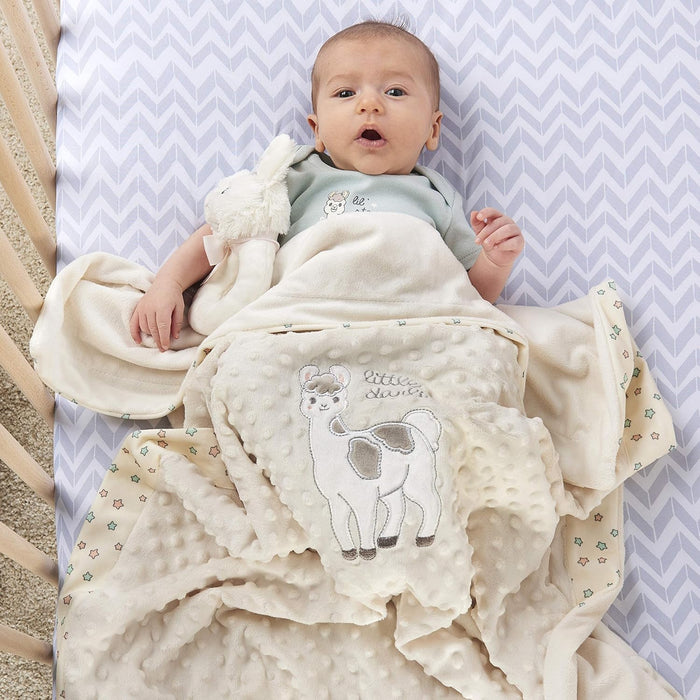 Baby Blanket - Llama Baby Blankets for Boys & Girls - Llama Blanket for Girls - Extra Soft and Comfortable Plush Baby Blanket - Baby Blankets for Girls & Boys - Toddler Blanket.