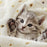 Tortilla Baby Blanket