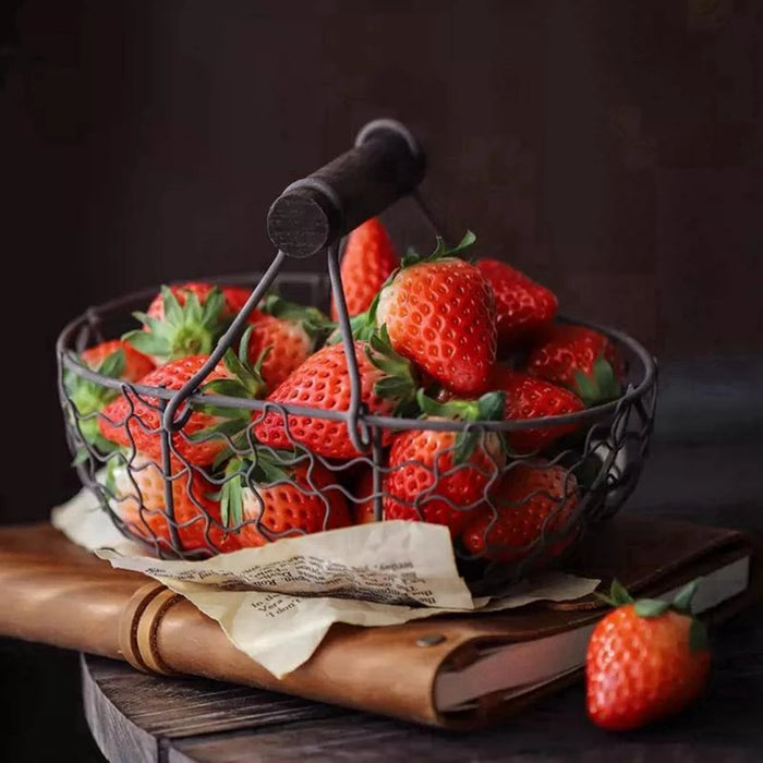 Multi-Size Egg Storage Basket