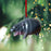 Acrylic Cartoon Forest Christmas Ornaments
