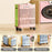 Medium/Large Foldable Laundry Hamper Spacious Portable with Wheels for Mobility