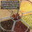 Rotating Airtight Rice Dispenser